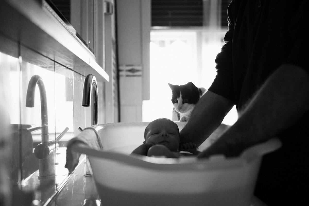 Newborn fotograaf