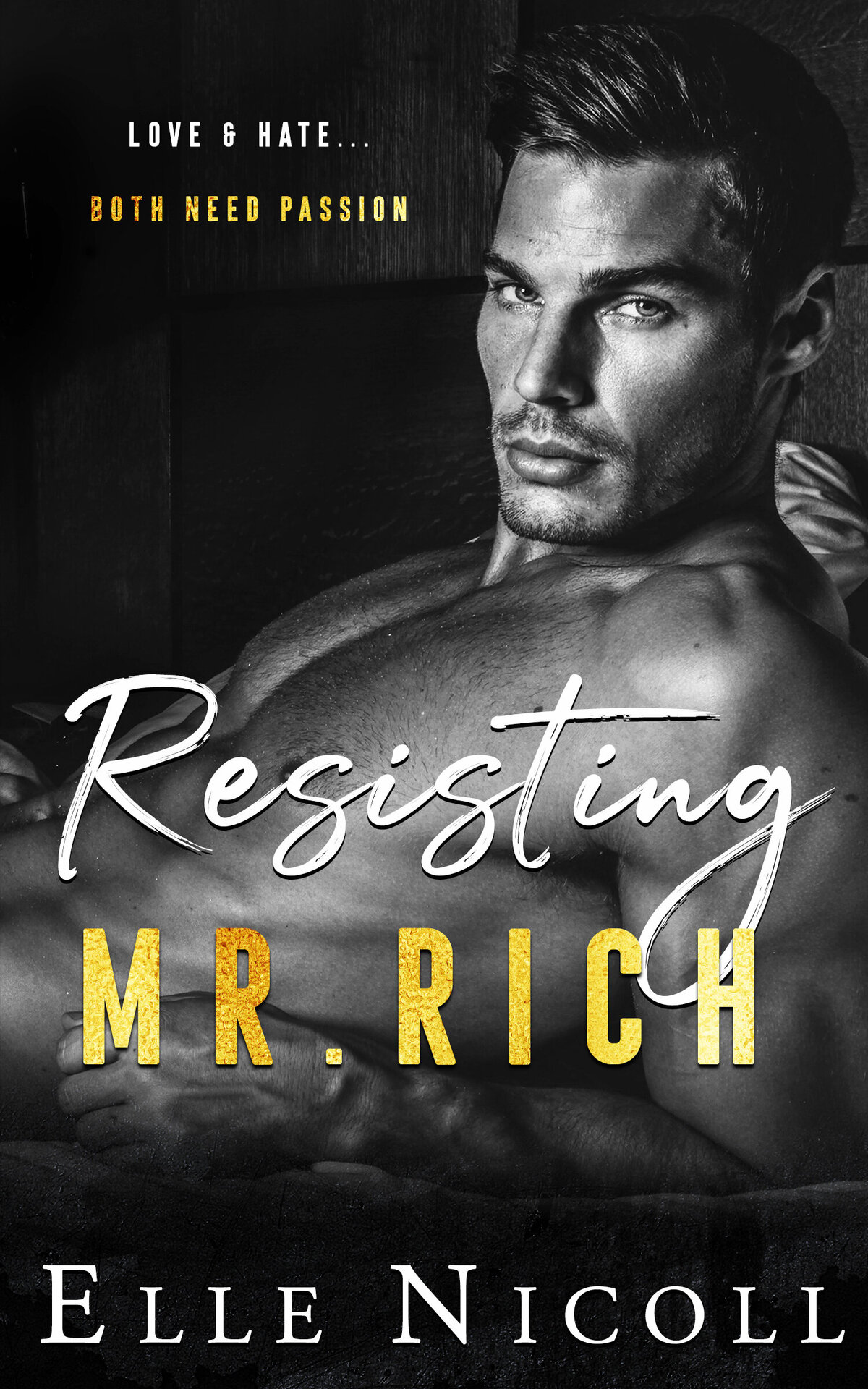 Resisting Mr. Rich Ebook