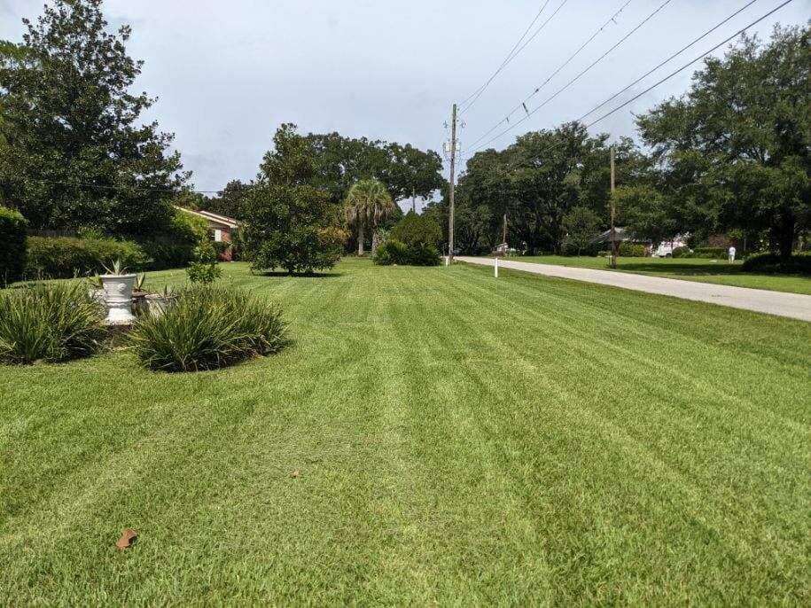 Lawn_Care_Landscape_Maintenance_Dunnellon_Ocala_FL_3-min
