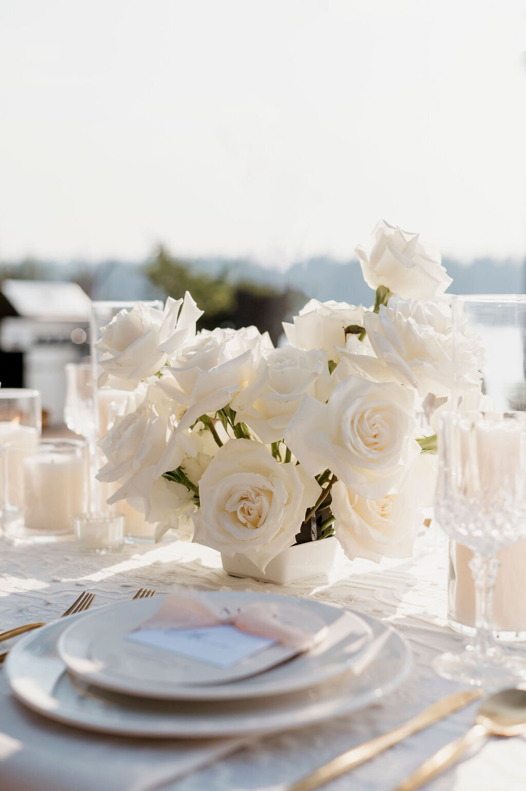 WhiteParty(11)