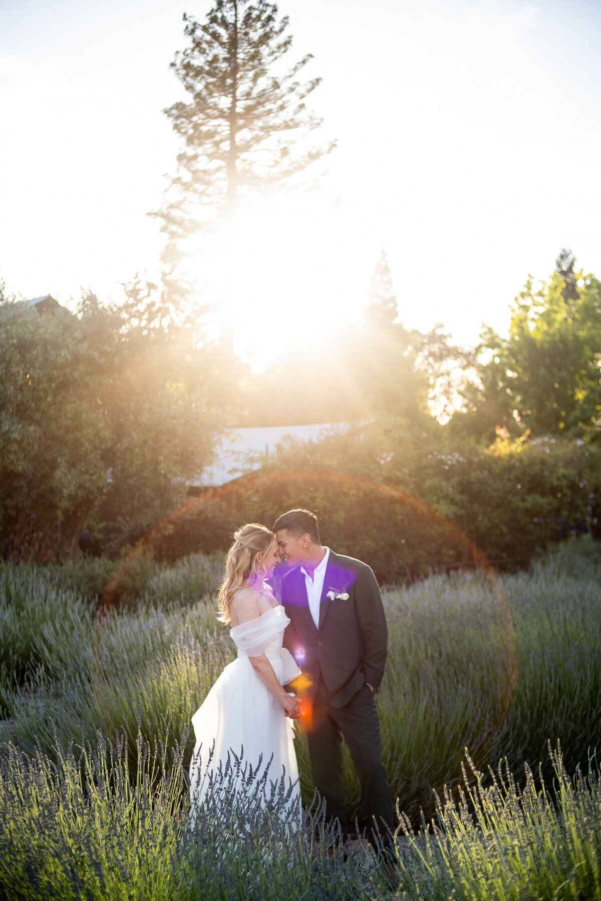 2024-top-bay-area-wedding-photography-045
