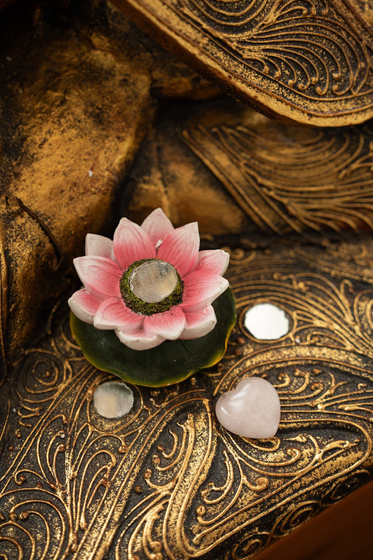 Cocobella Photography -31