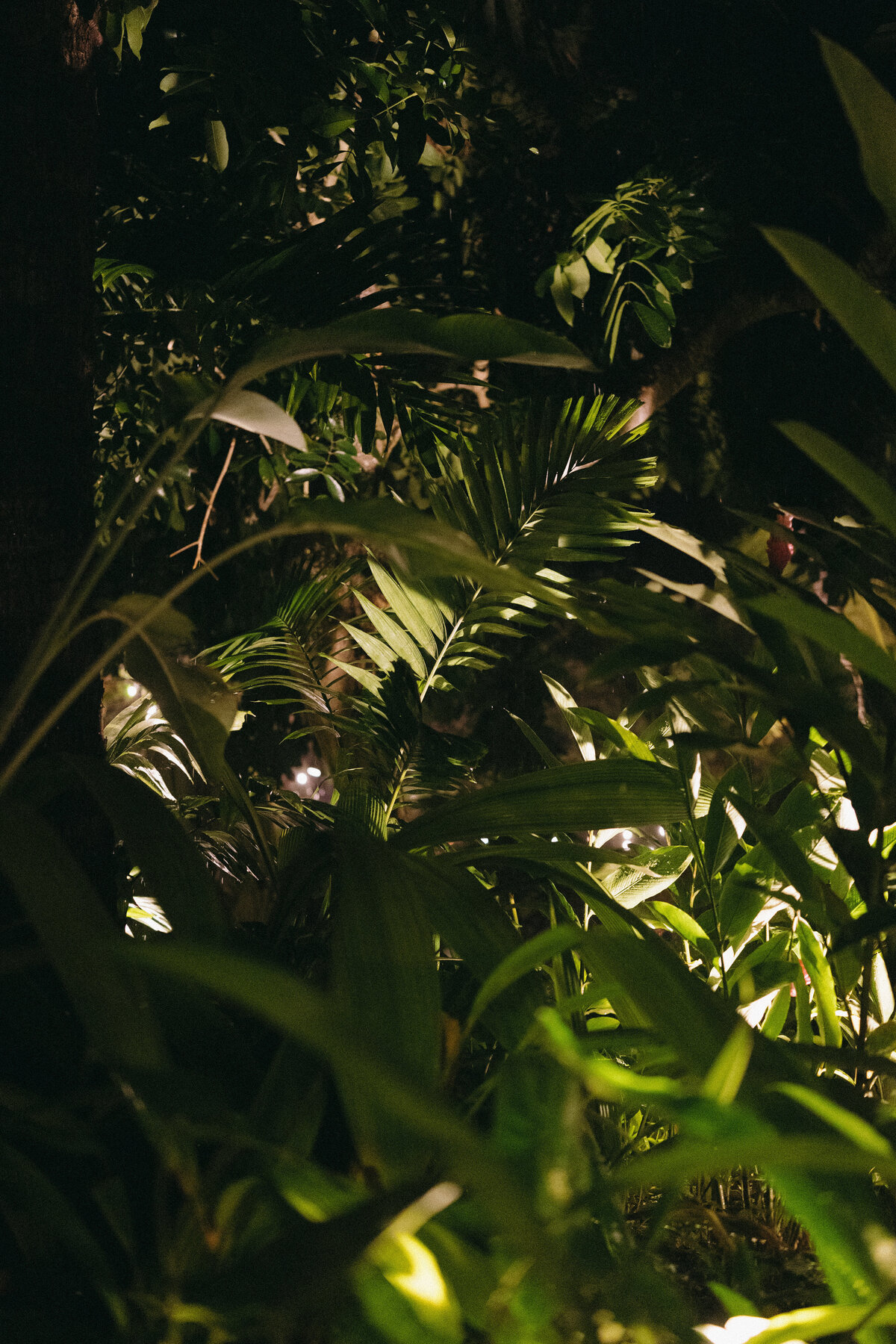 250509HANTYL-adv0059