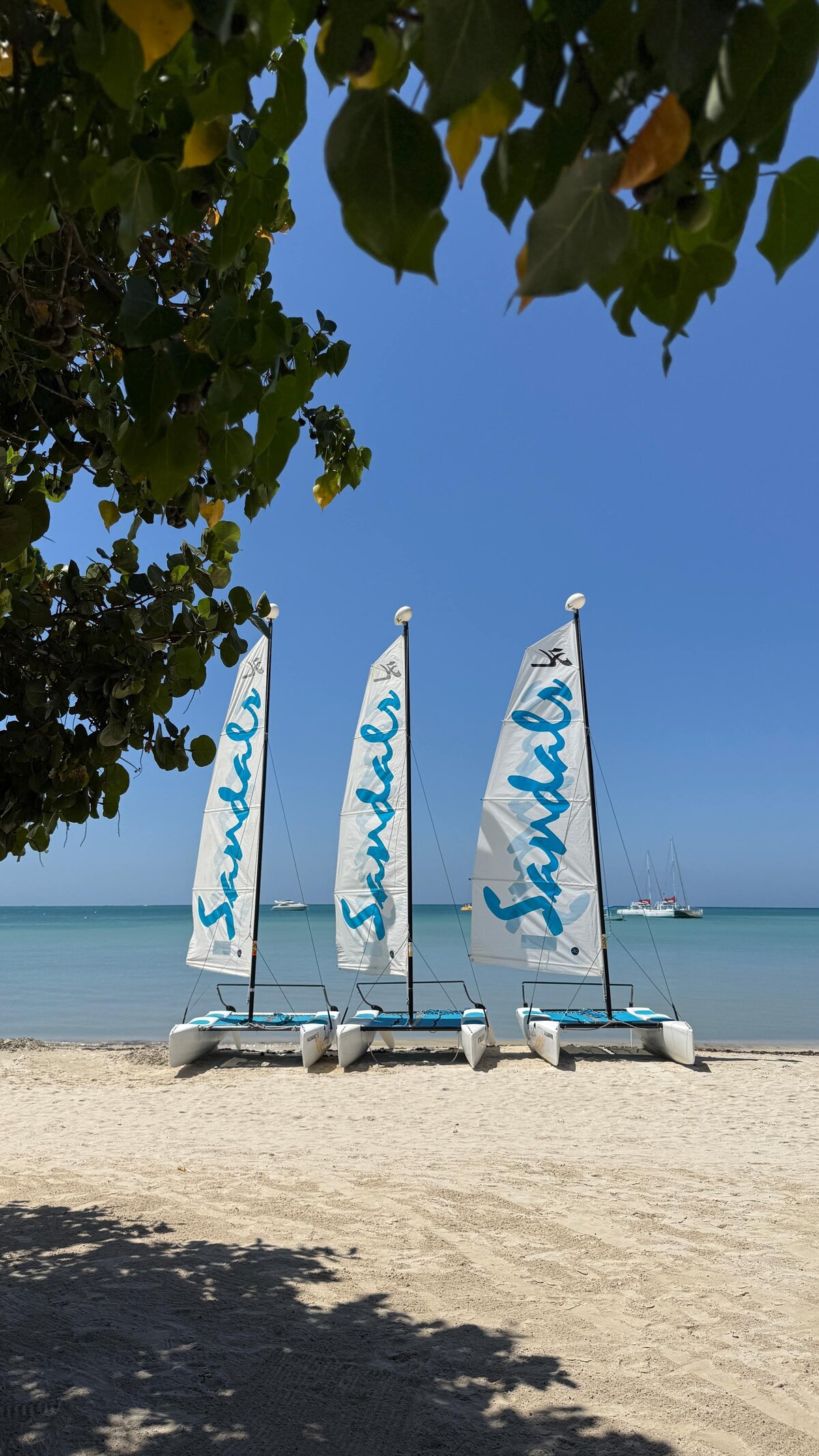 negril sail boats