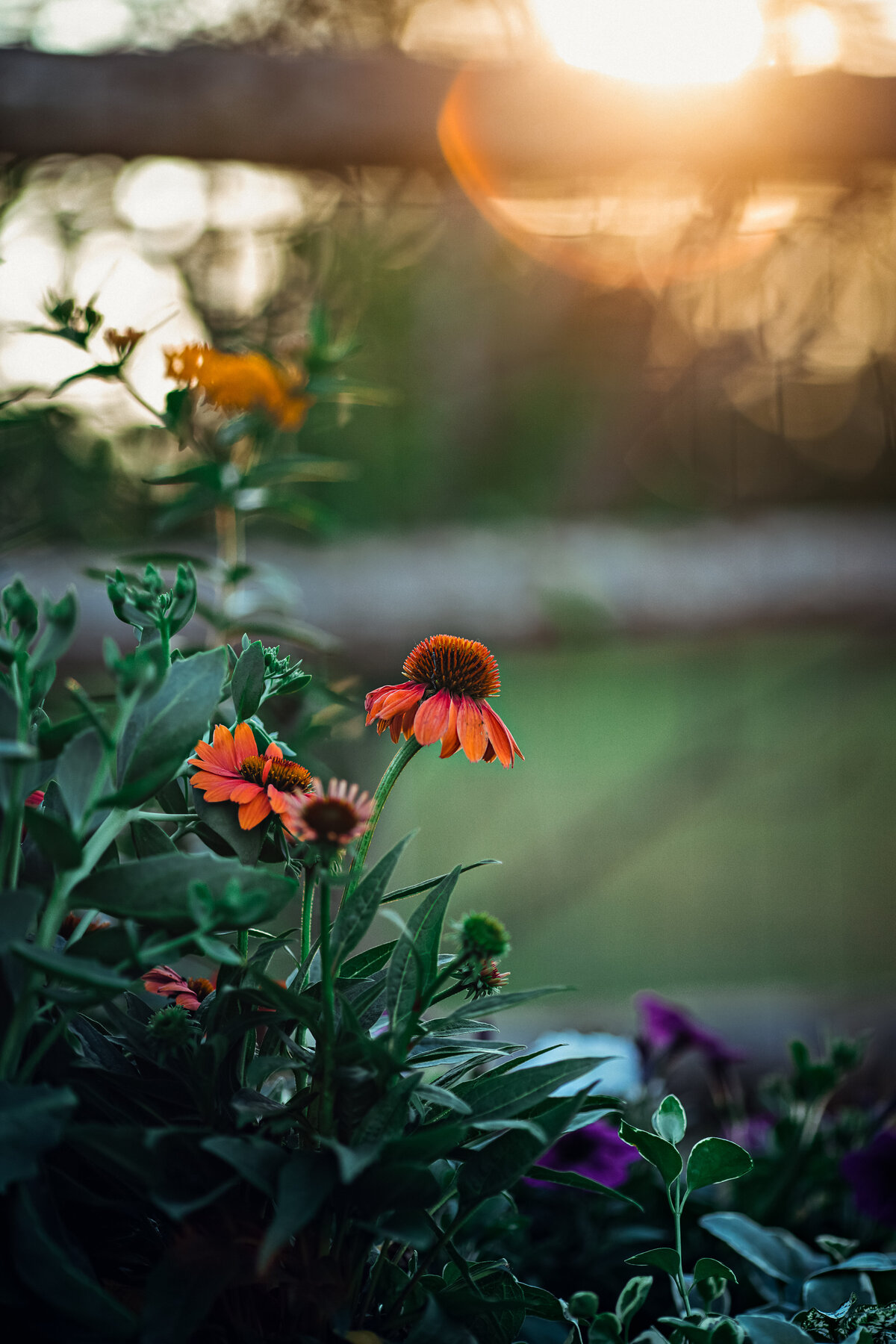 0L6A4651-Edit-Edit-2