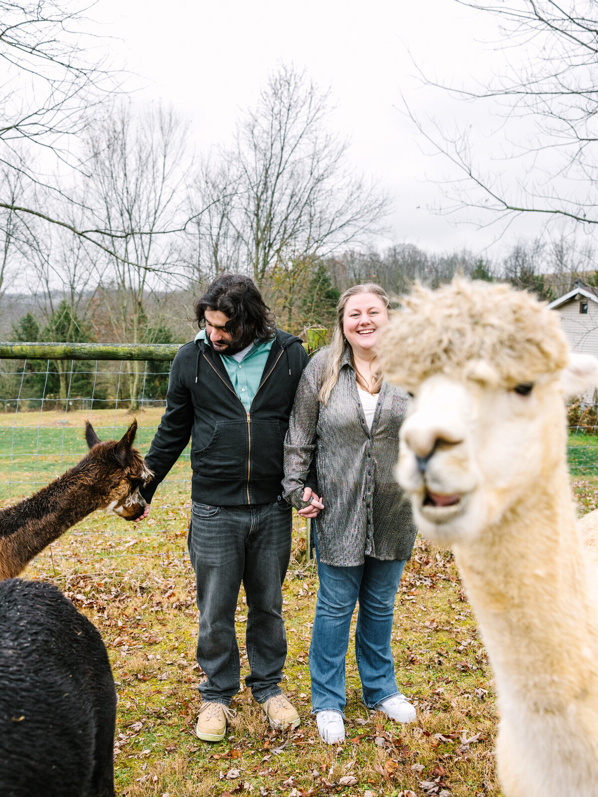 Alpaca-Farm-Portrait-Session-PA-NYC-Country-Rural-Maya-Lovro-Photography-25