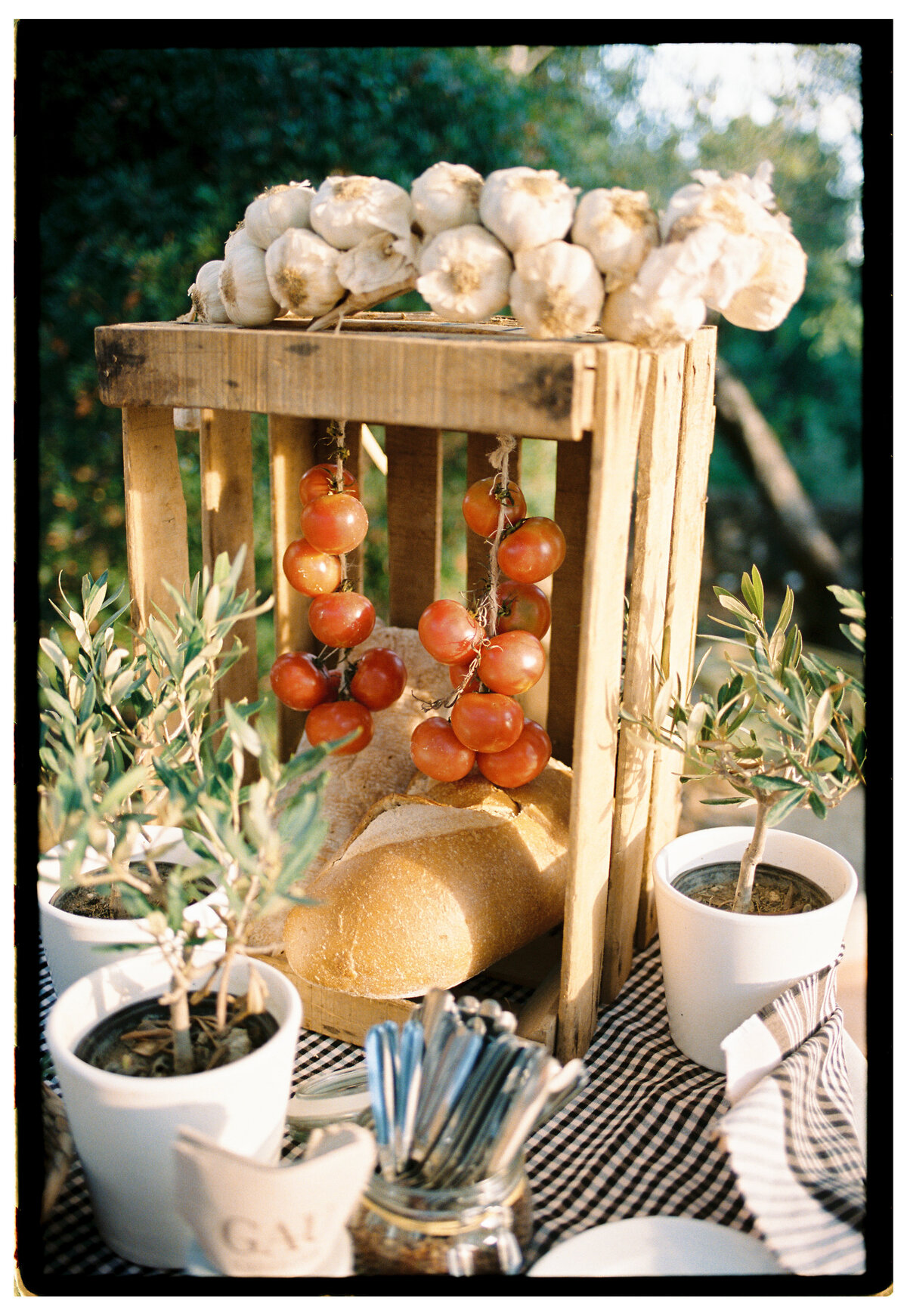 Sarah-And-Matt-Destination-Wedding-Photographer-Jenna-Martin-315