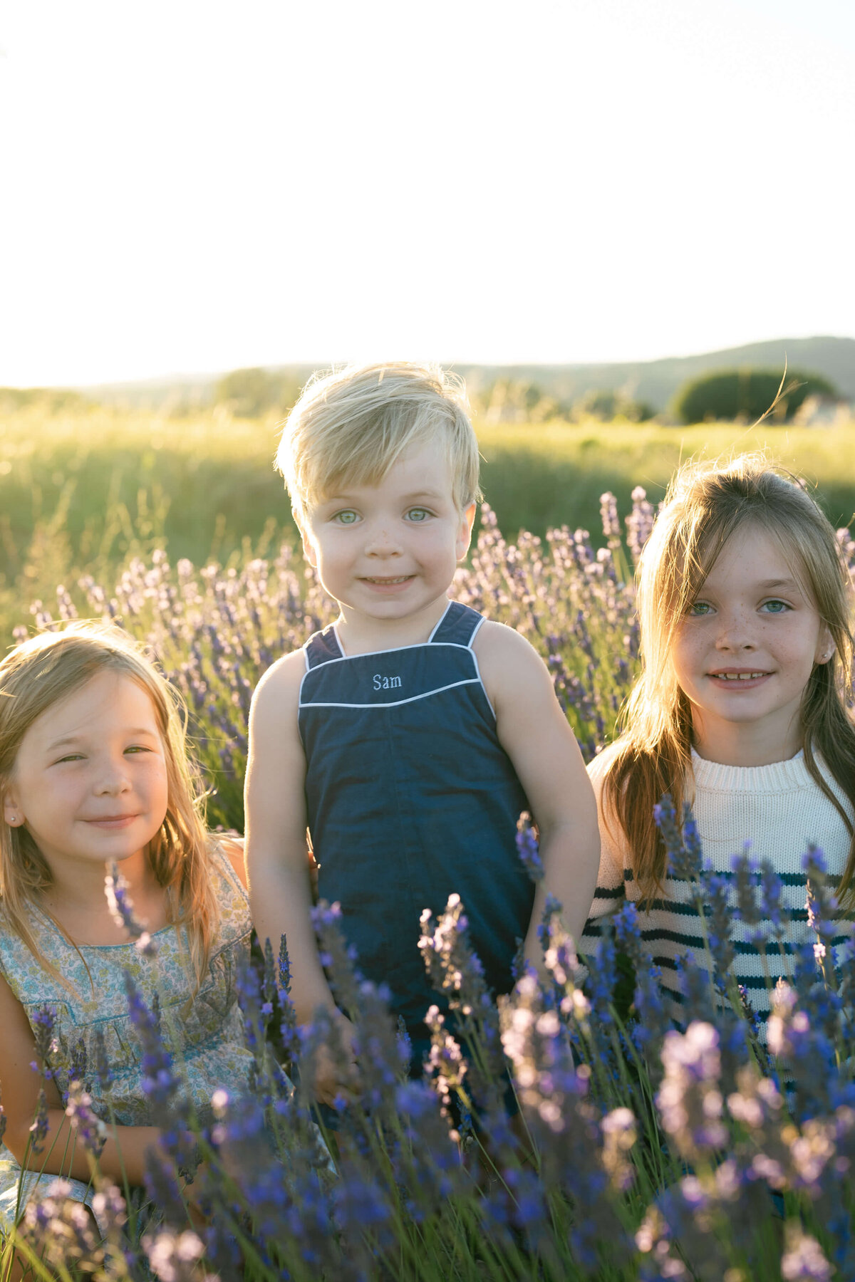 Lavender family photo shoot in Bonnieux