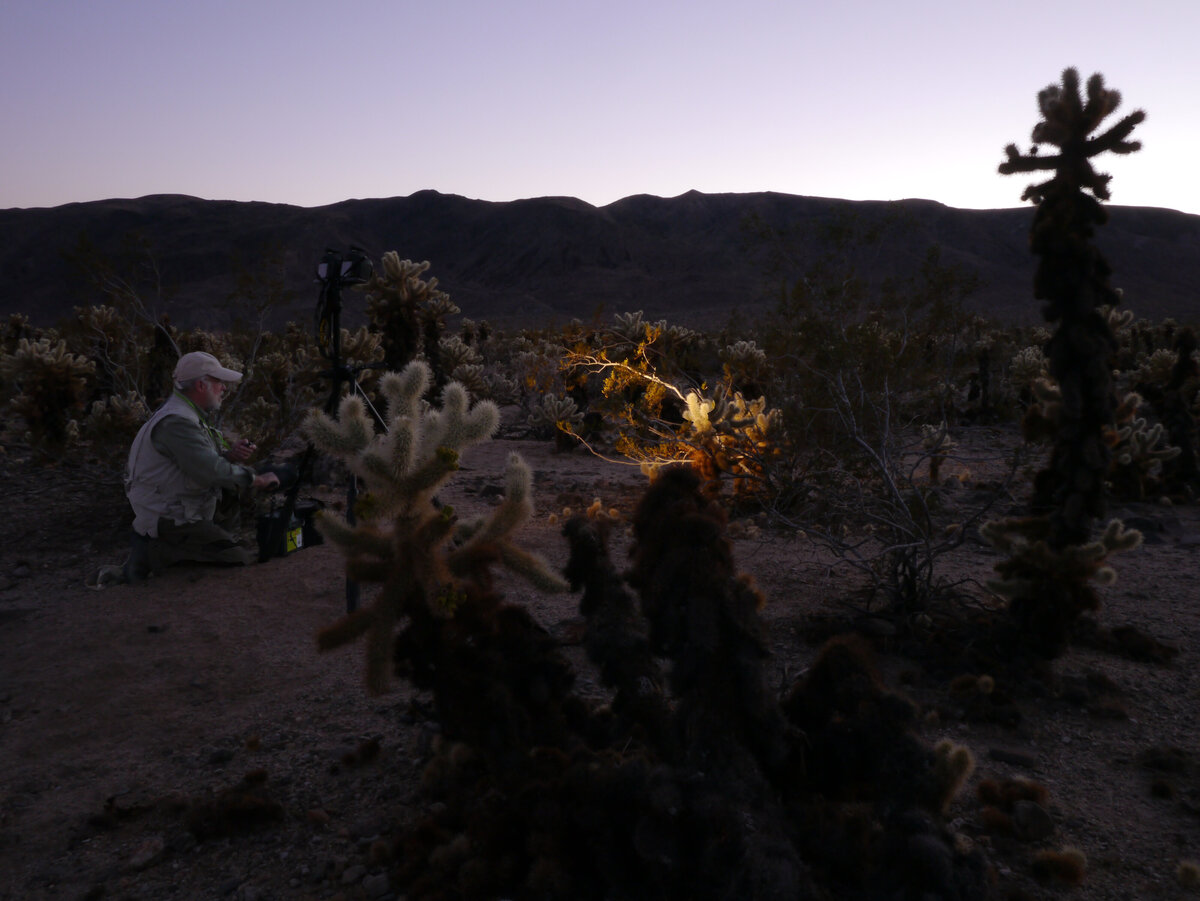 LM_LightPaint_2