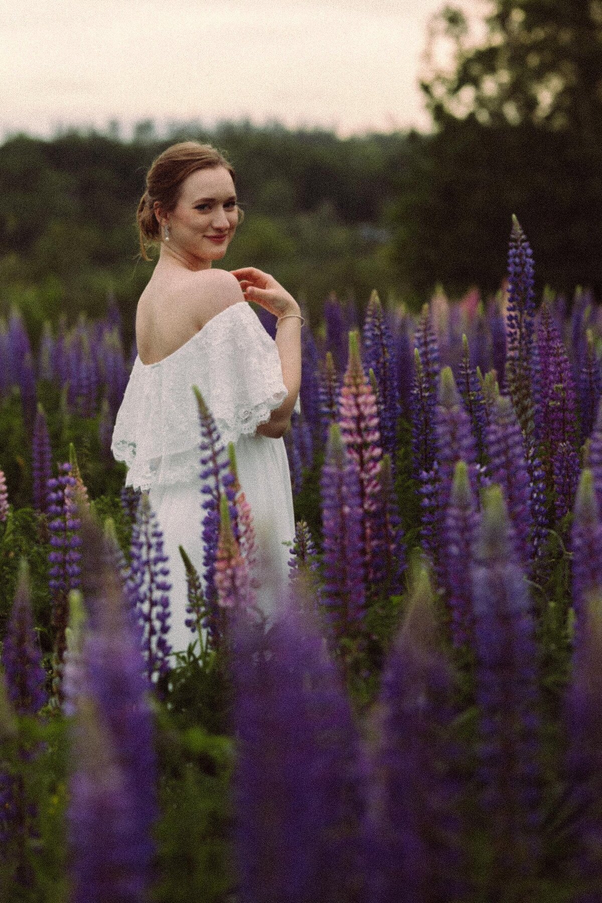 Viewing Lupines in Maine