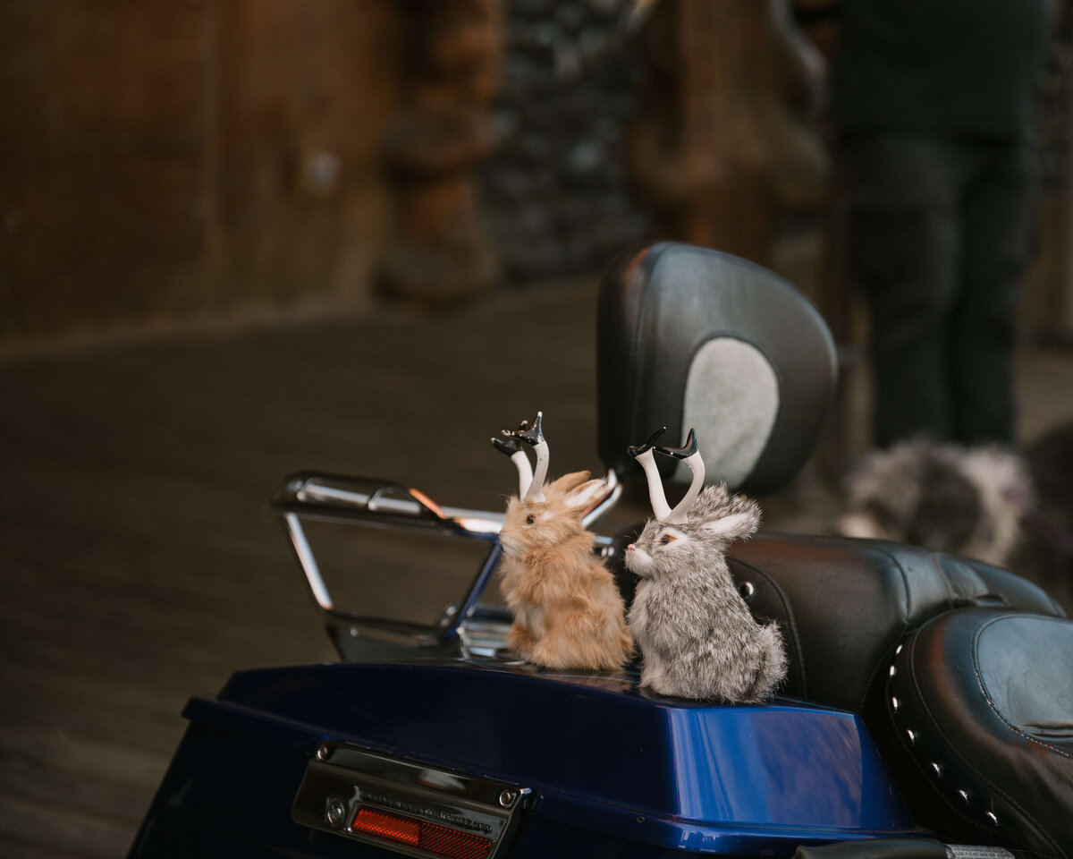 jackson-hole-wyoming-elopement-photos-75