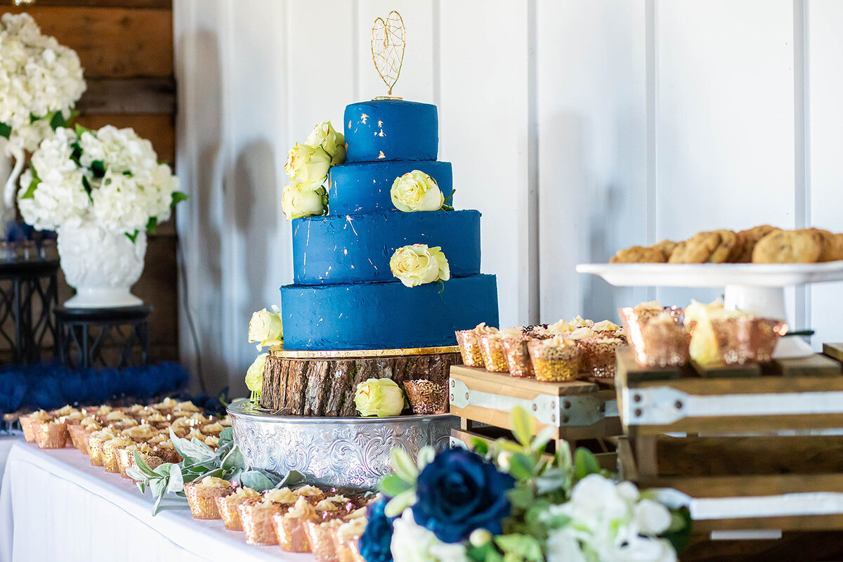 Dallas - Fort worht, Texas wedding photographer