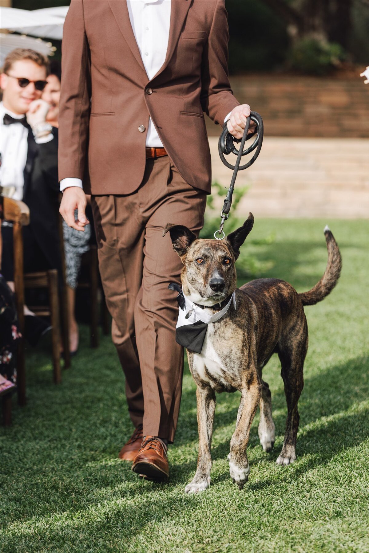 bernardus-lodge-spa-carmel-valley-wedding-gianna-ajax-ashley-carlascio-photography-0820