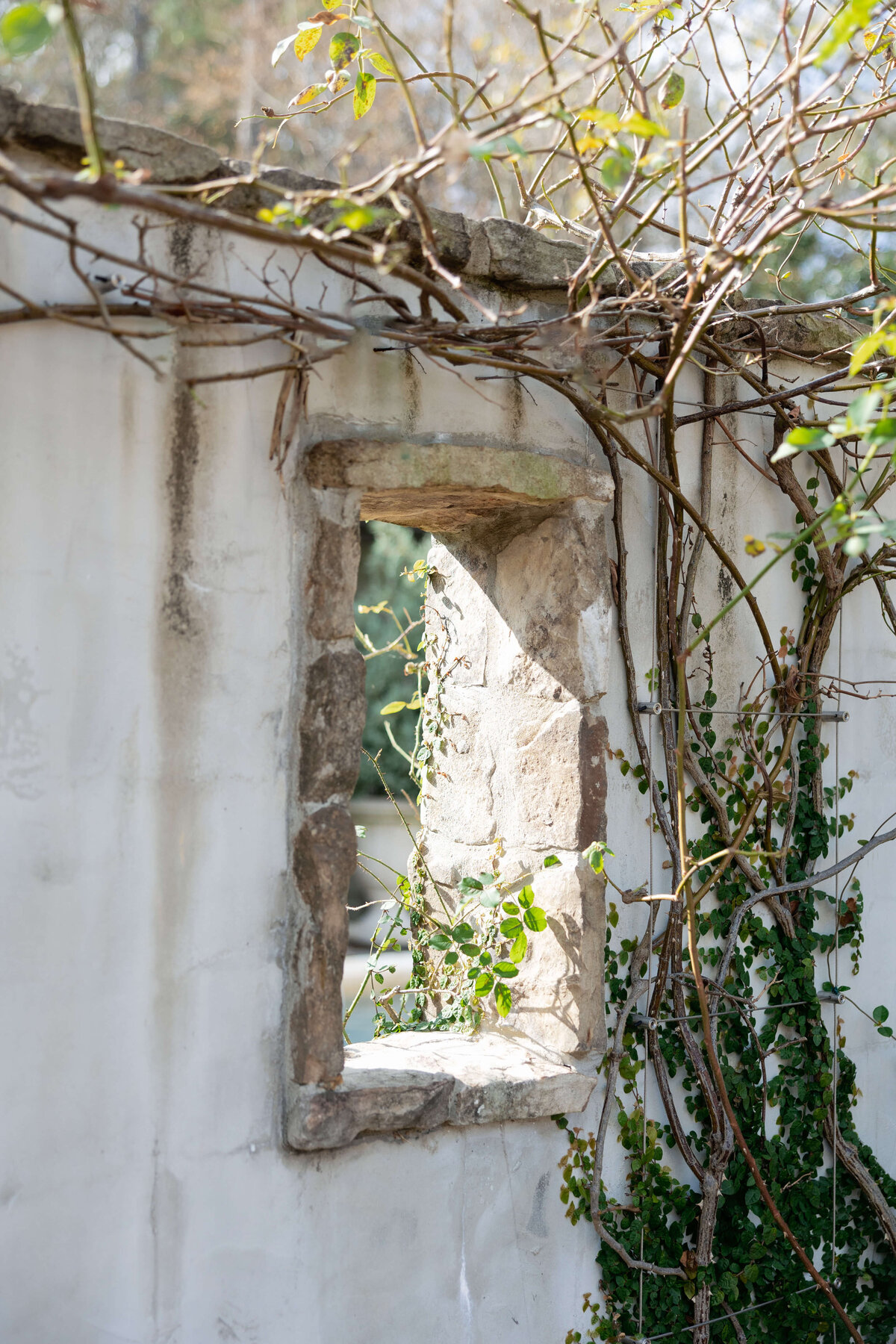 Emily Green Creative2Y5A8115