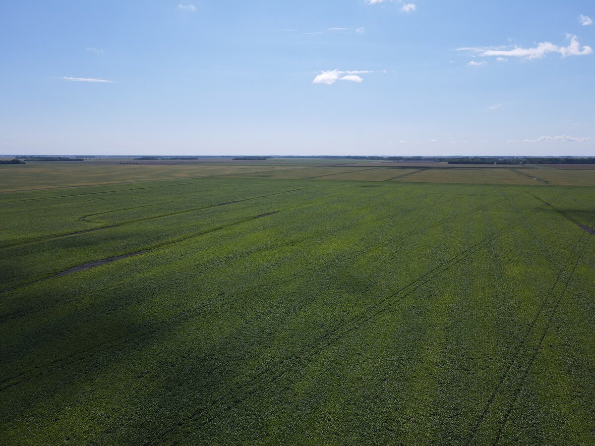 DJI_0891
