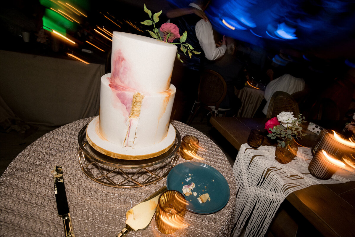 Ed and Aileen Photography Chicago Illinois Digital Film Wedding Engagement Photographers Destination Greencrest Manor85