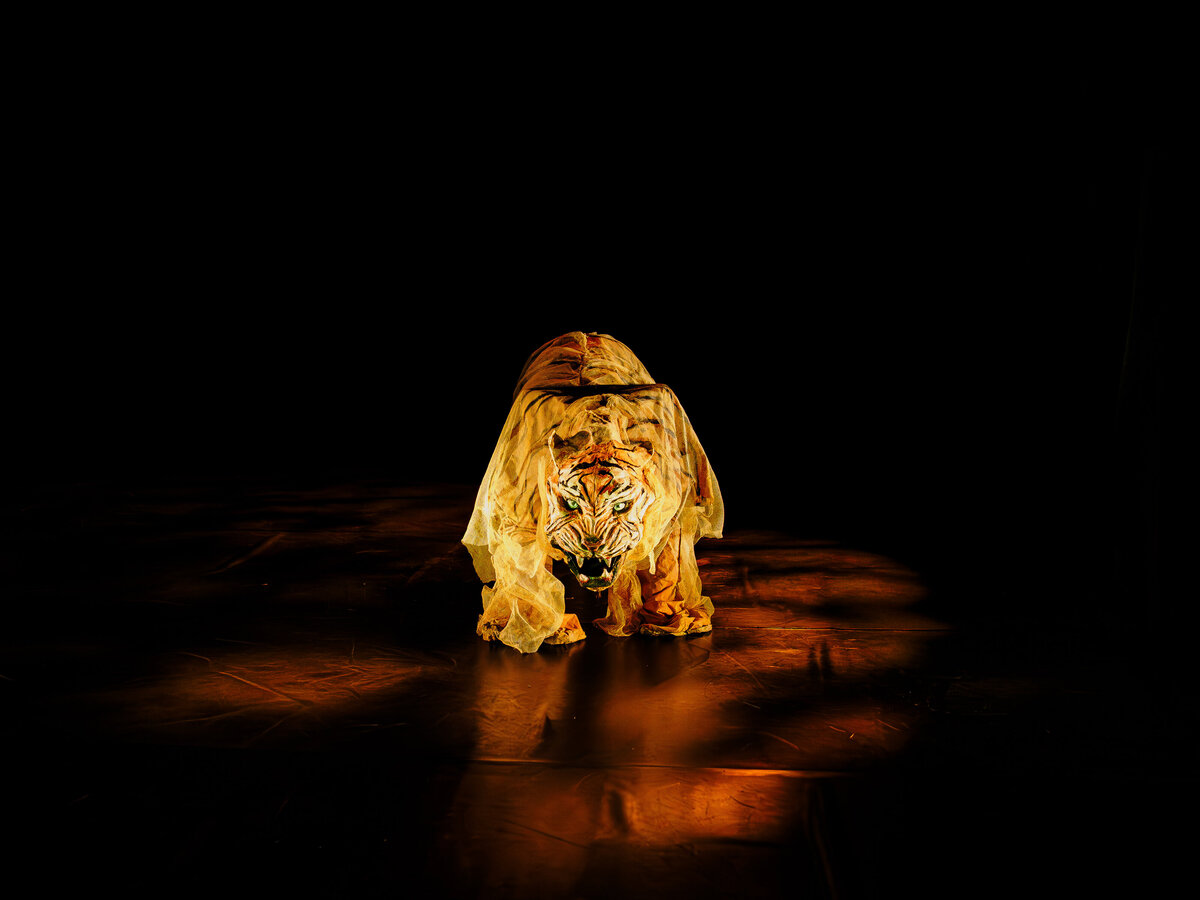 HISTOIRES INVISIBLES Le truculent exode rural des fantômes du Bengale ©Marie Charbonnier-59