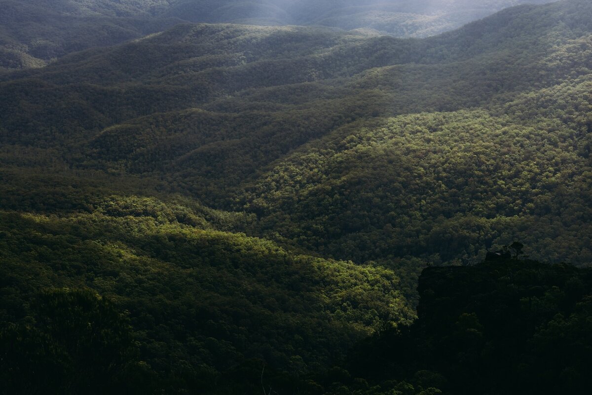 Crystal-Jack-Blue-Mountains-Elopement-849