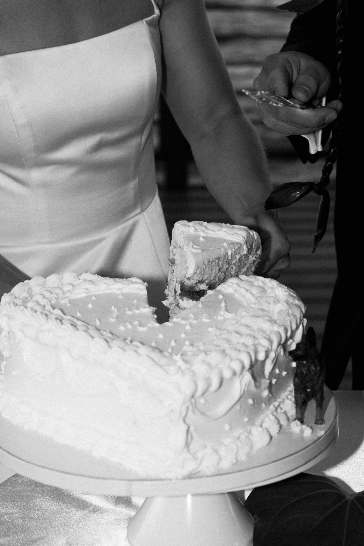 imagesbyabbi--02498