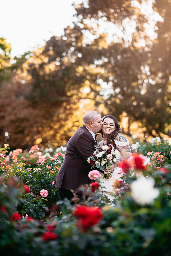 on their wedding day the groom kisses his bride in a garden of roses