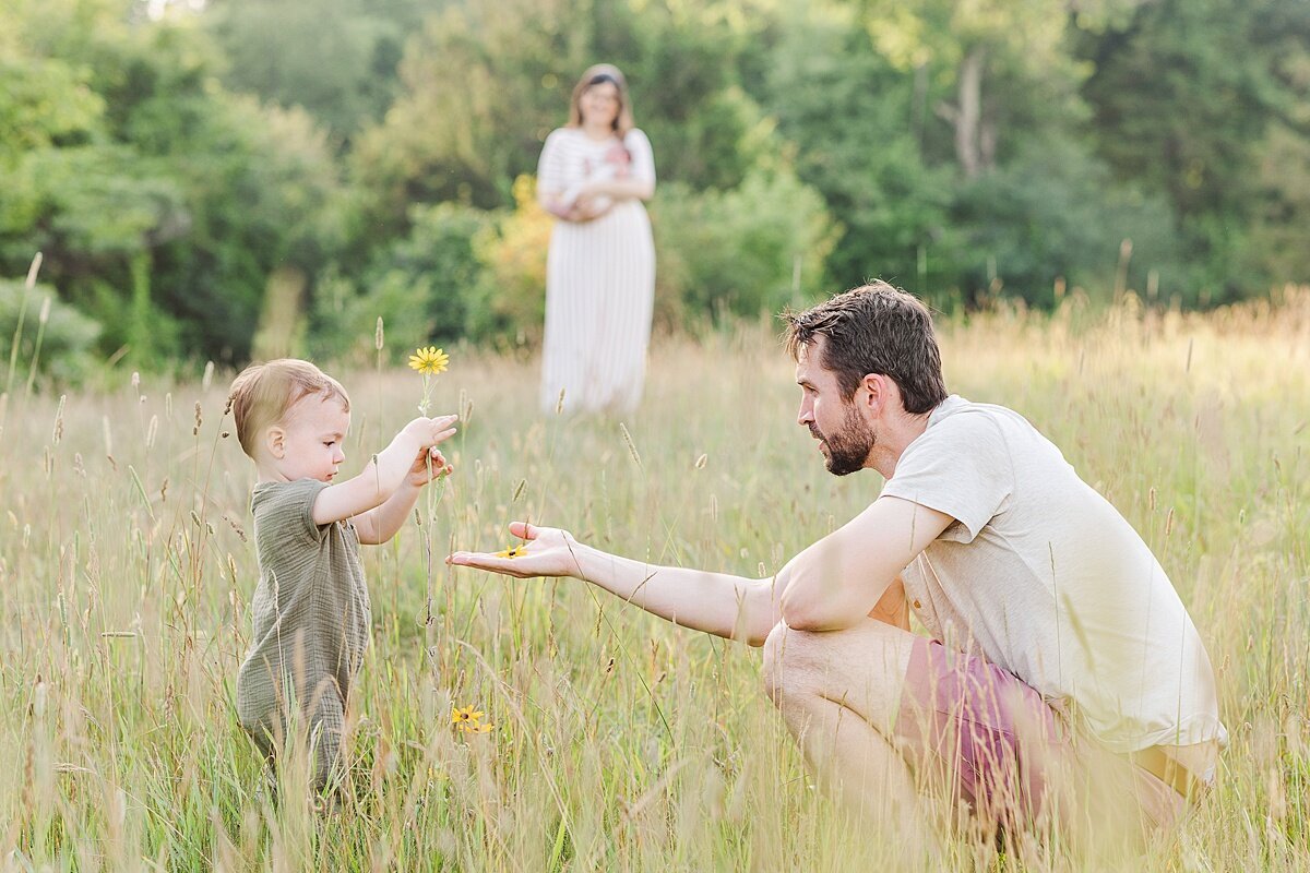 boy picks flower for dad  during outdoor newborn photo session with Sara Sniderman Photography at Oak Grove Park in Millis Massachusetts
