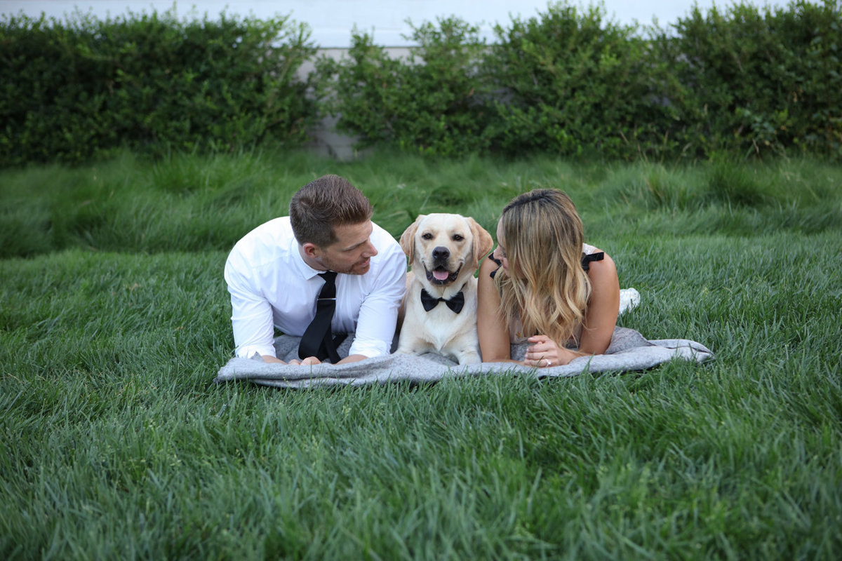Holbrook Palmer Park Engagement Photography with their Puppy Dog
