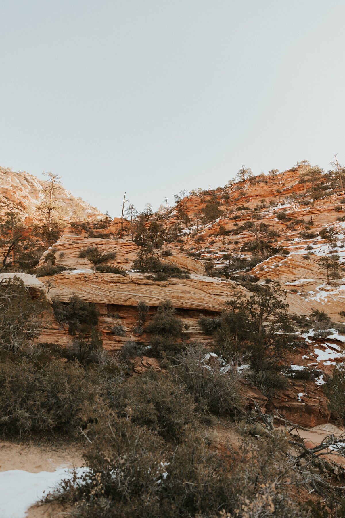 Zion-National-Park-12