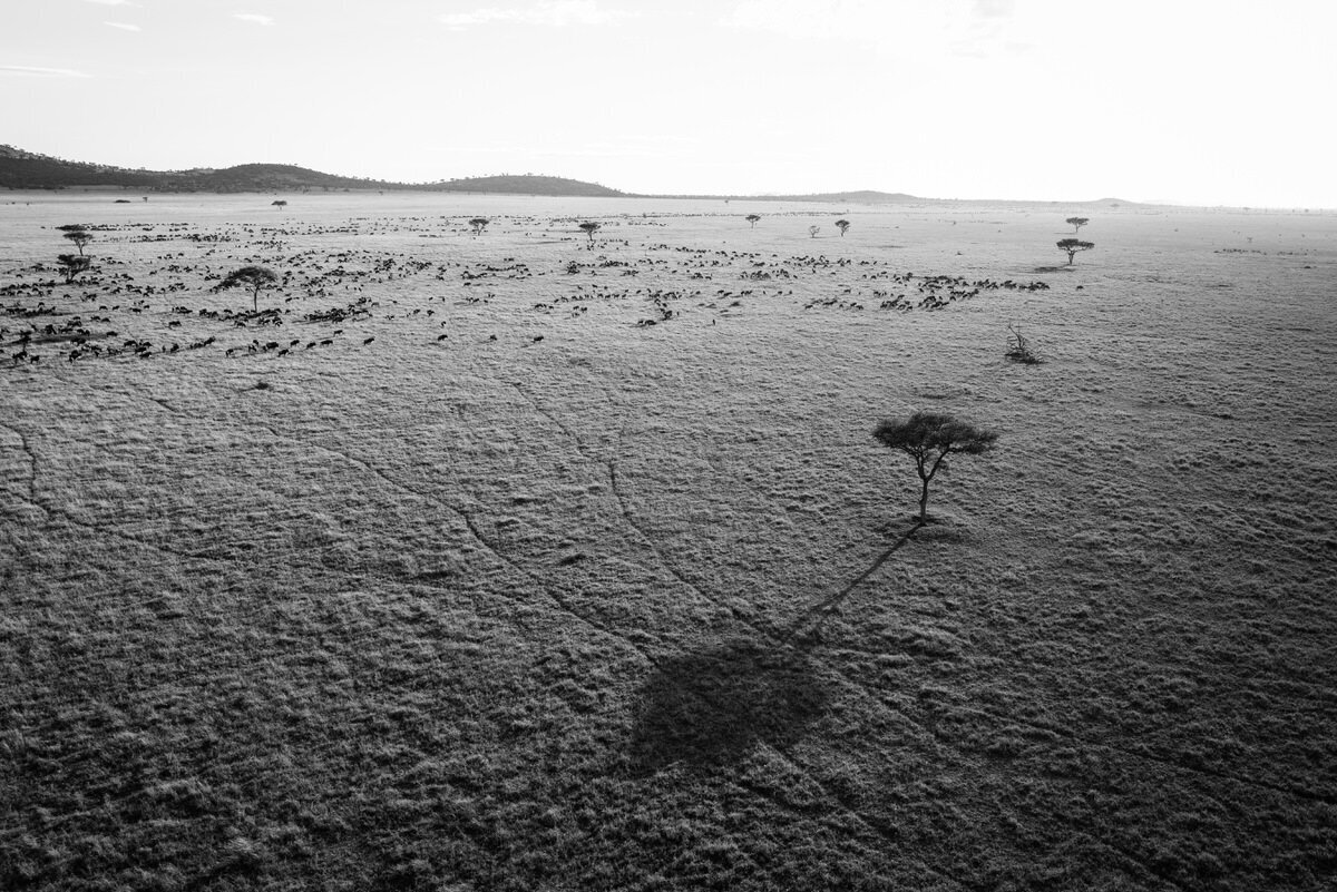 leila-brewster-photography-tanzania-0932