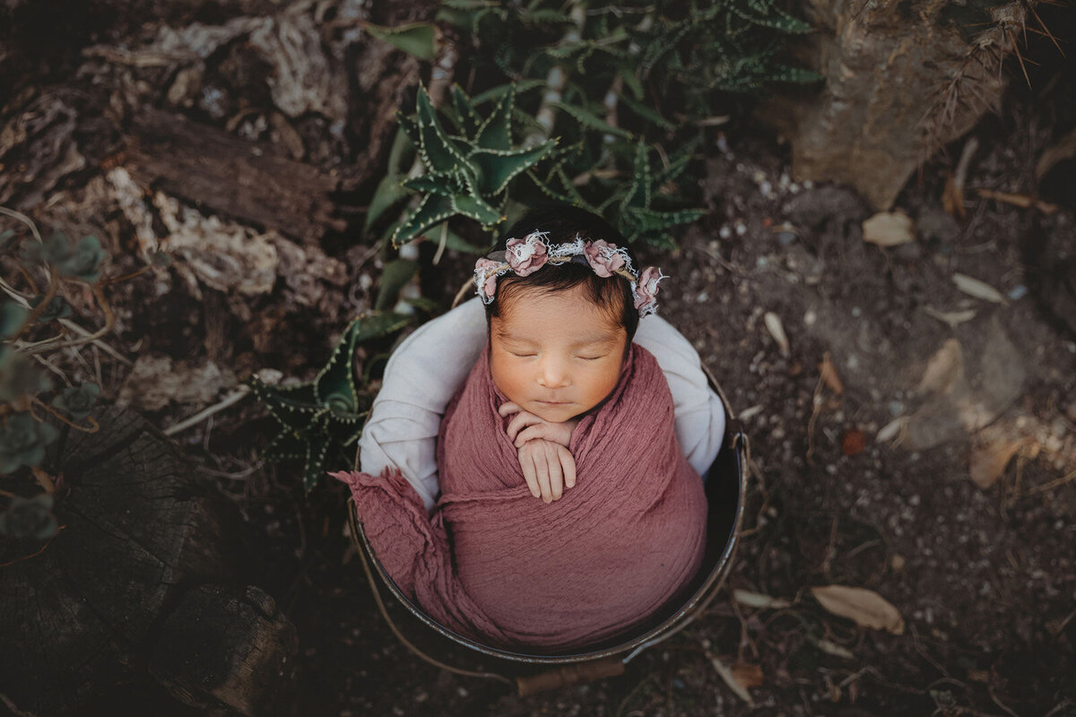 Bay-Area-Newborn-Photographer32