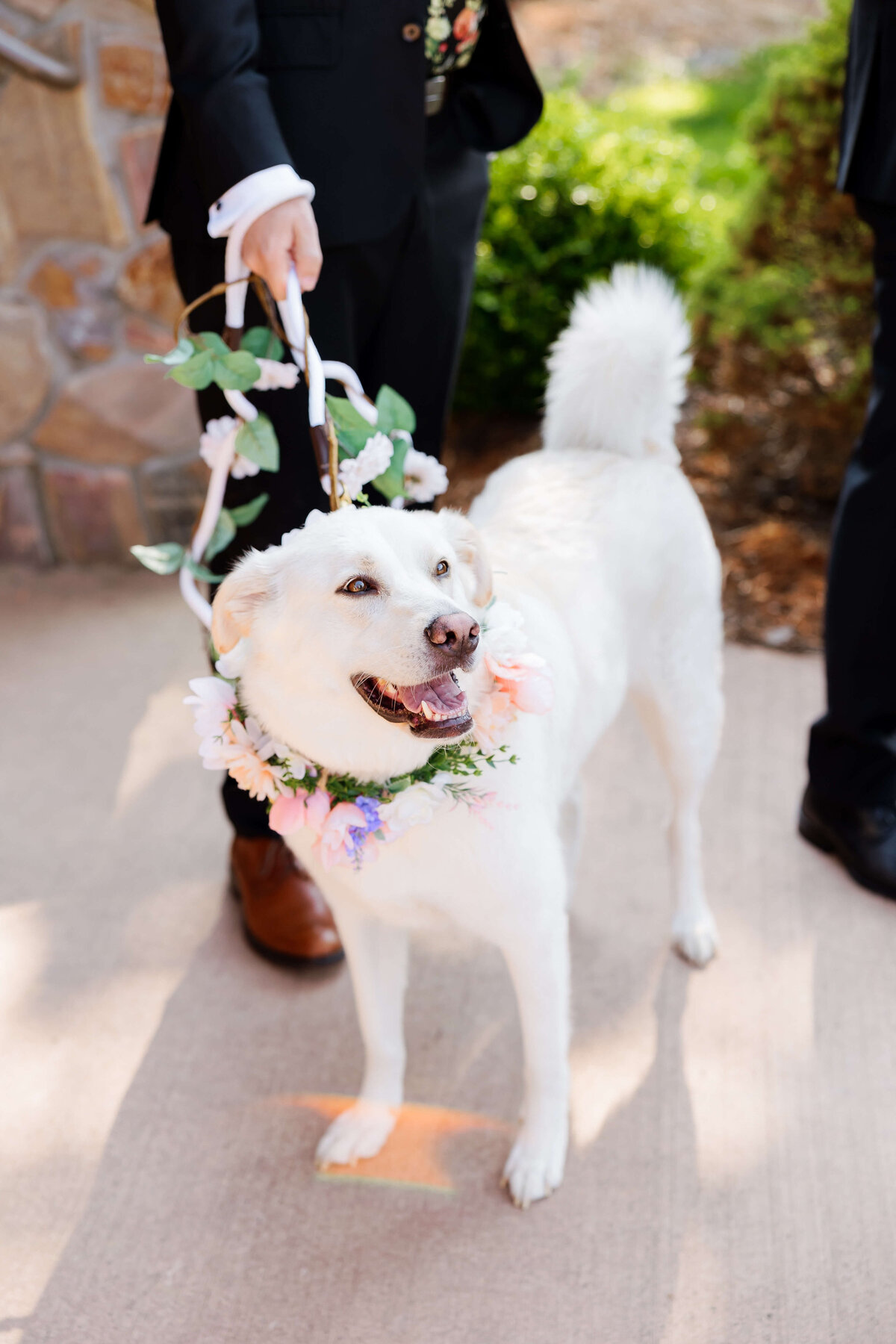 Blue-Ridge-Mountains-Wedding-61