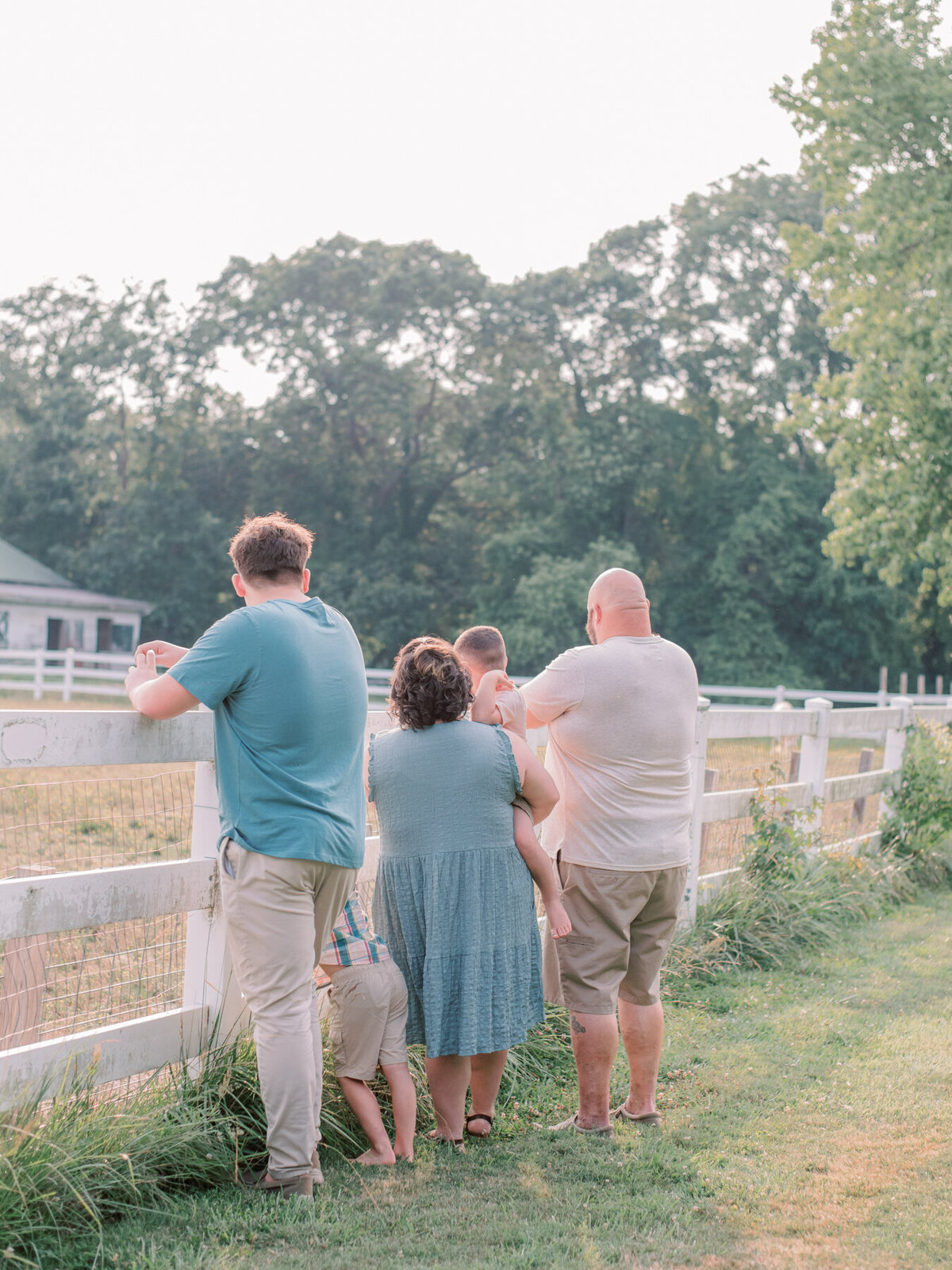 Family looking at horses in Richmond.