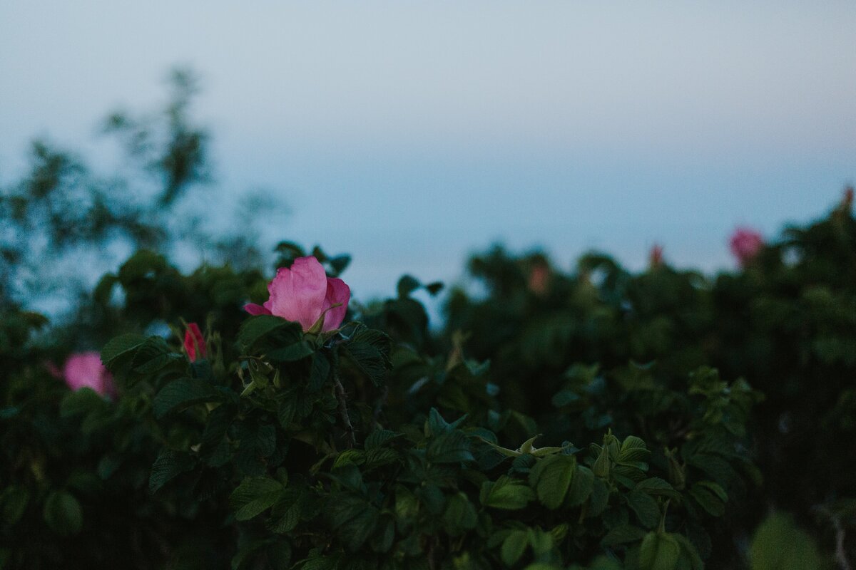 LS_CBPhoto_2020-719