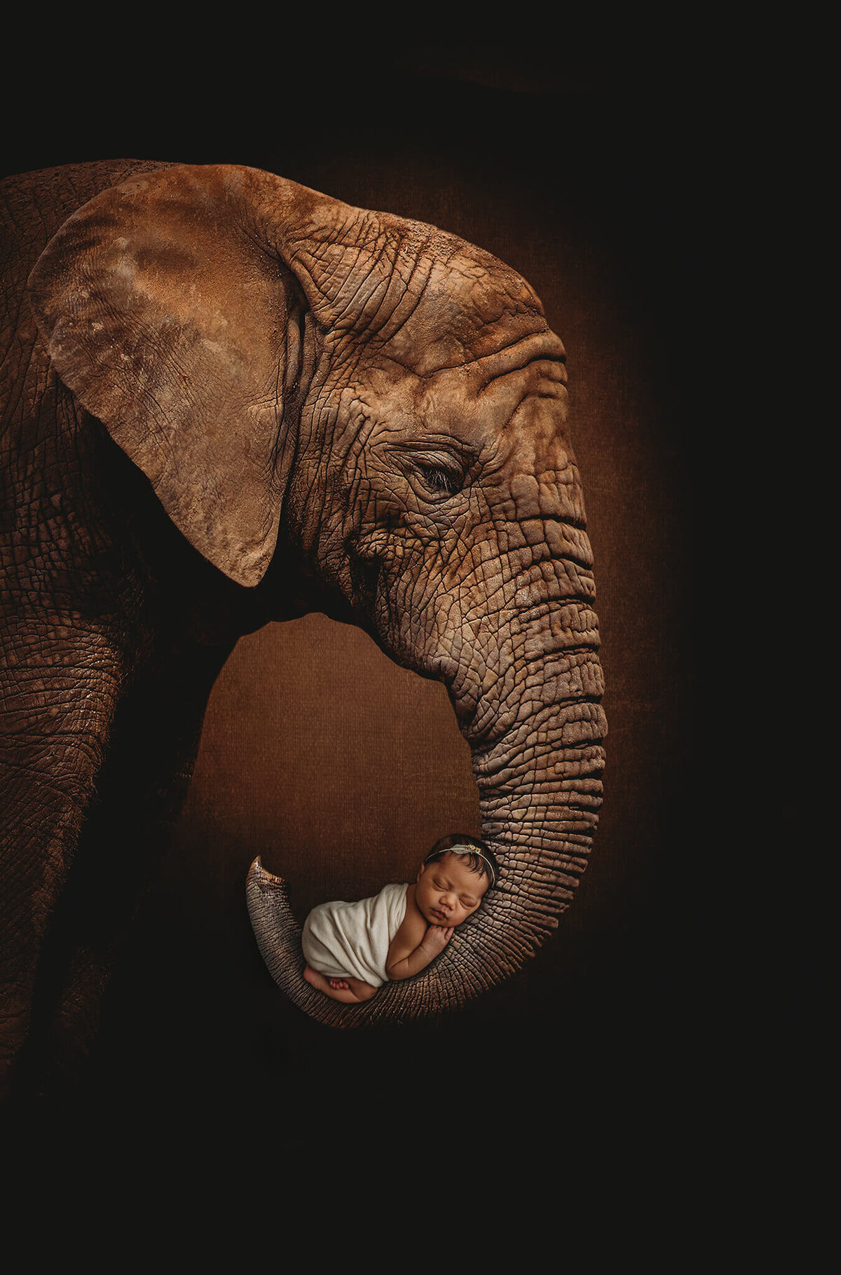 elephantcombo-columnbus-ohio-newborn-photographer