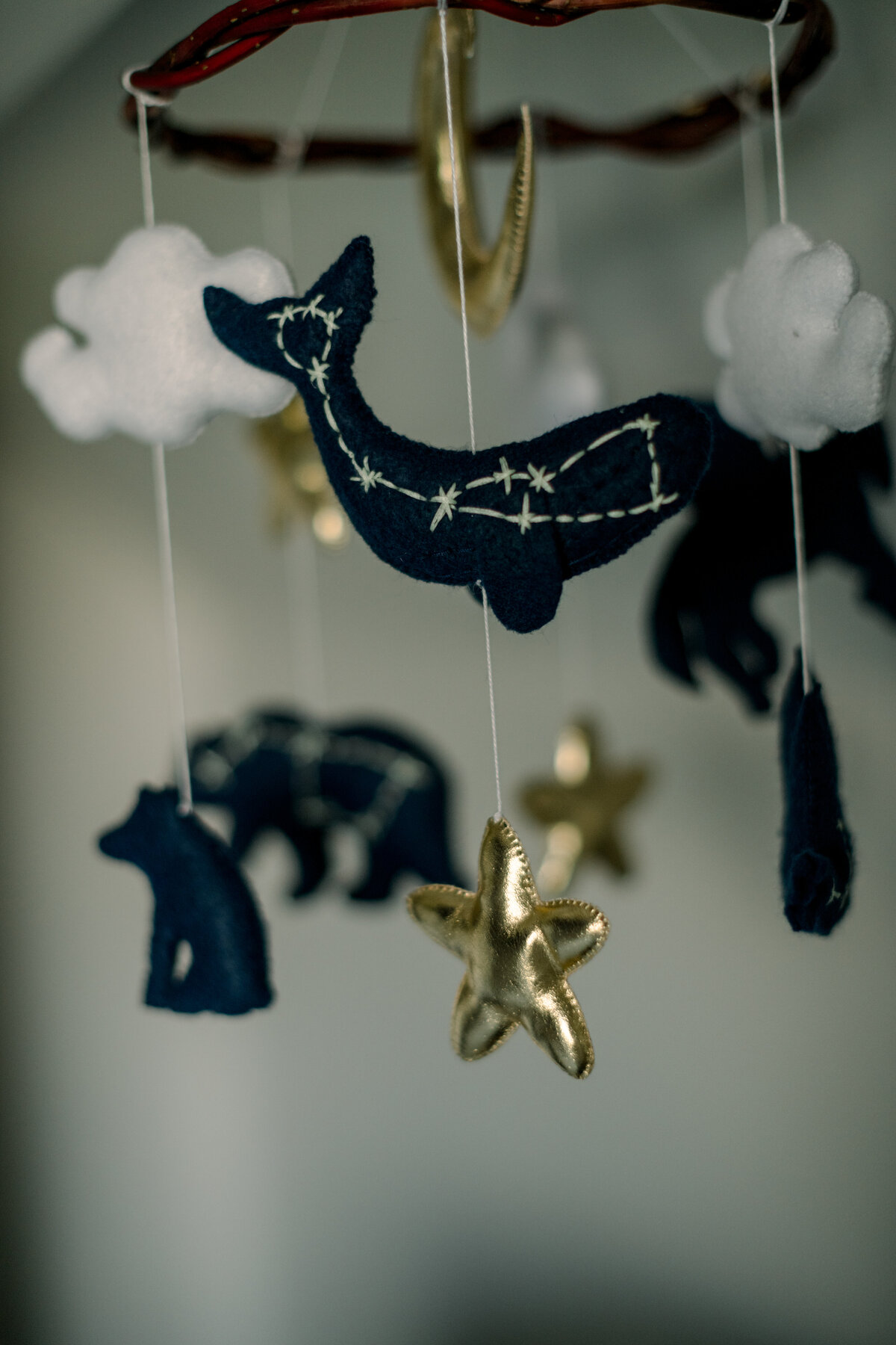 South Carolina Newborn Photography - Bloom Photography-15