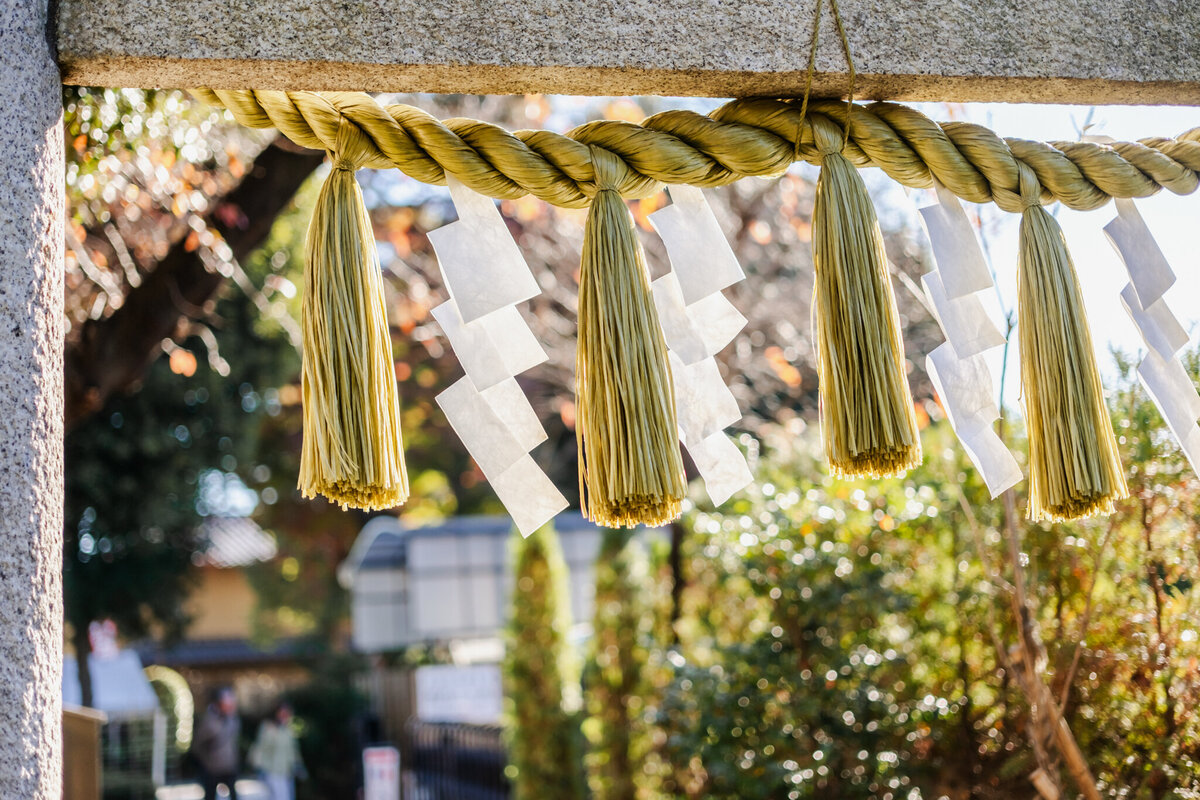 tokyo-maternity-photo-shutchosatsuei1034
