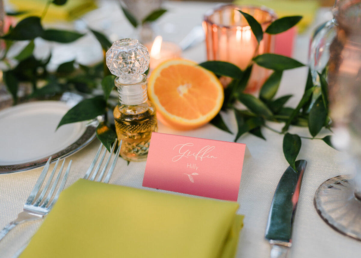 Devin-Vlad-WeddingDay-1138-