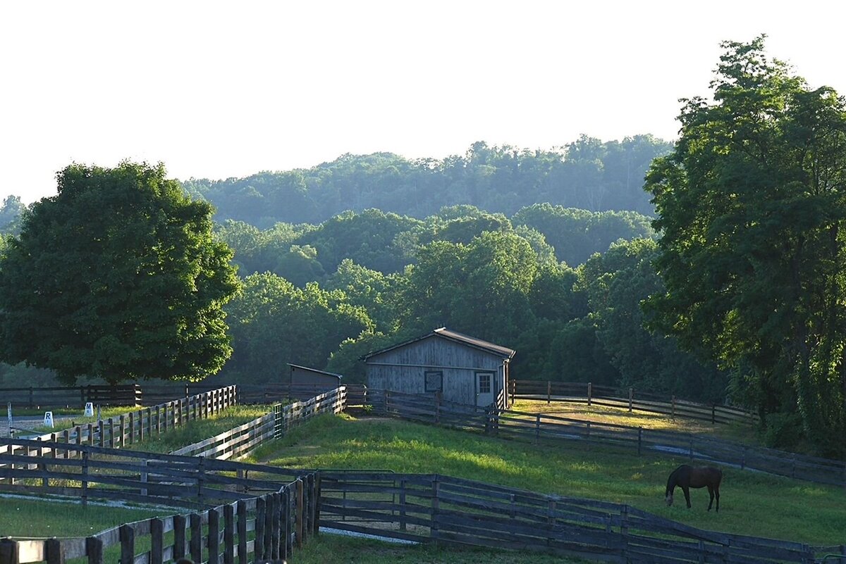 jp-dressage-kynynmont-farm-pa-2