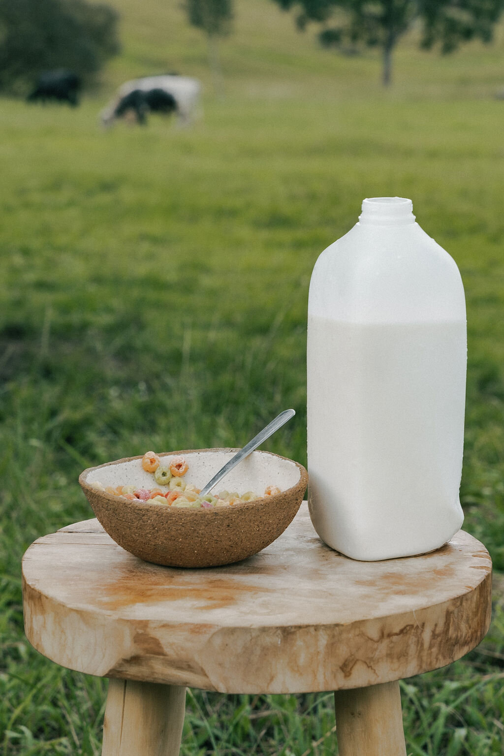 fecb6609-eeab-4c34-8a81-6fff946550f7