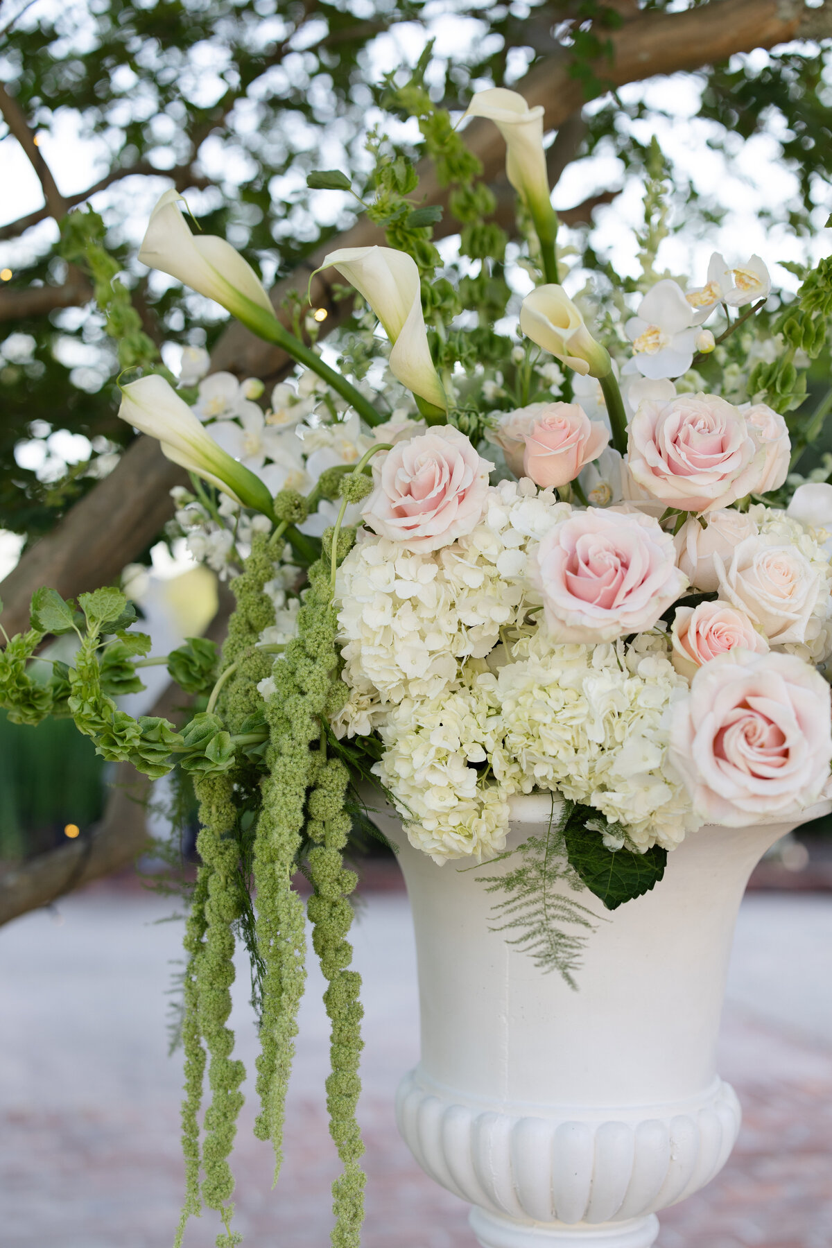 TailoredPhotos-Ceremony-27