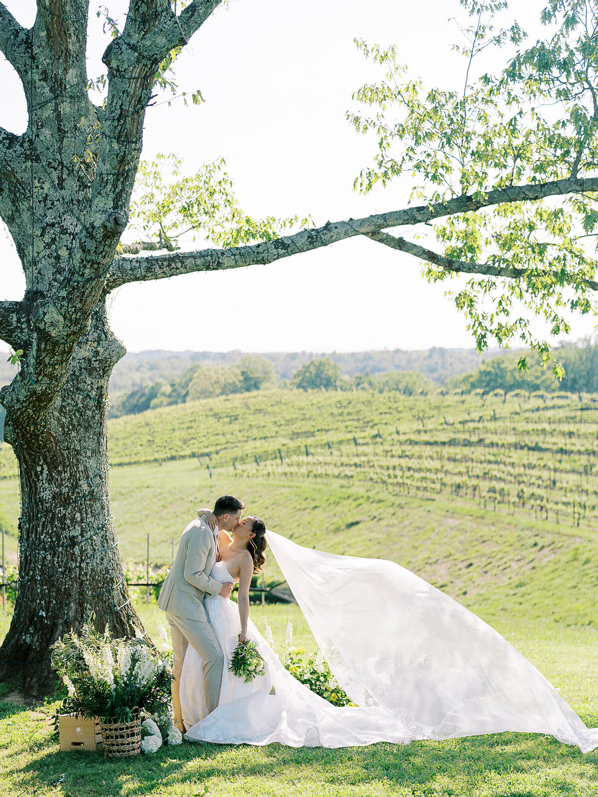 bride and groom kiss at montaluce winery