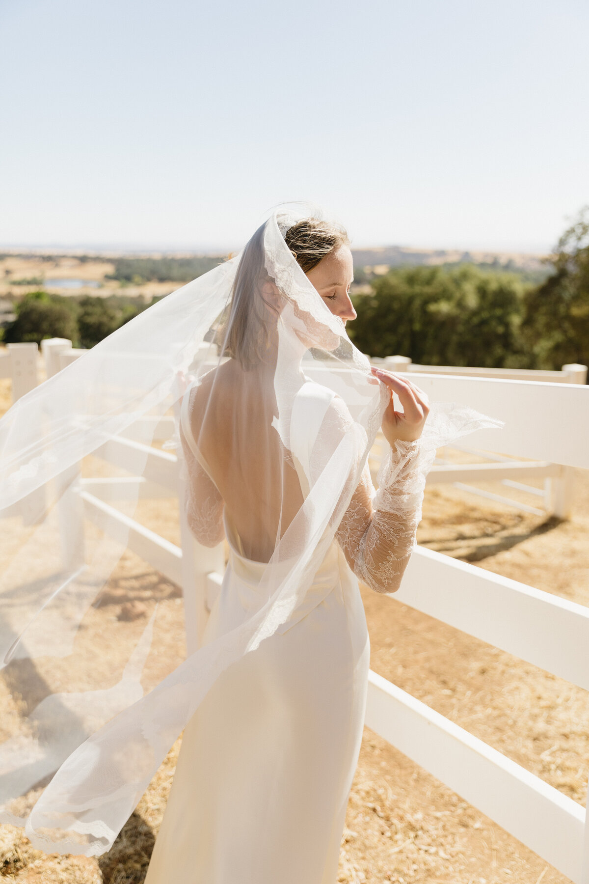 Sacramento wedding planner10