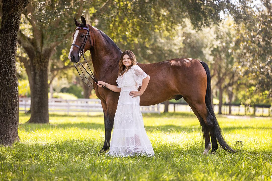 ©StunningSteedsPhoto-6549lr-morgan horse