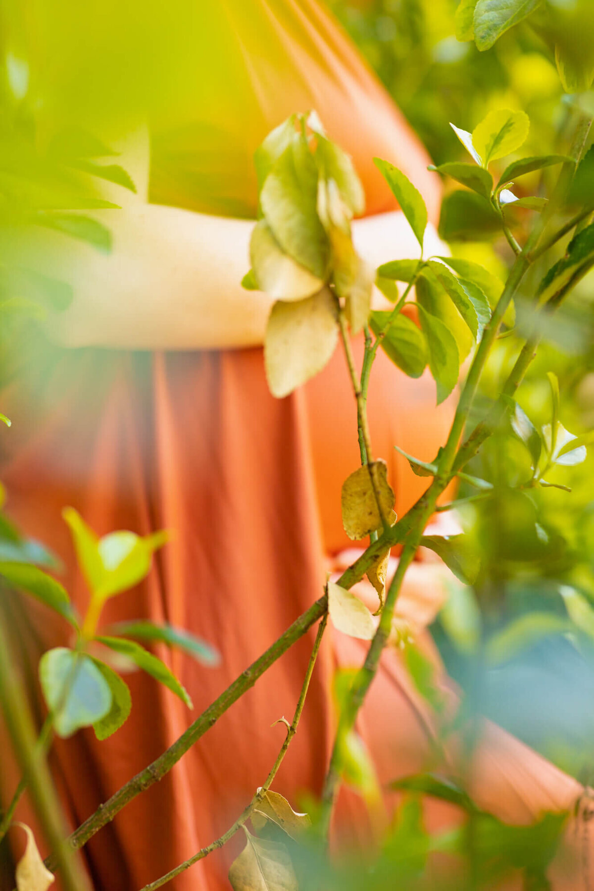 Expectant mom in a burnt orange dress in a garden
