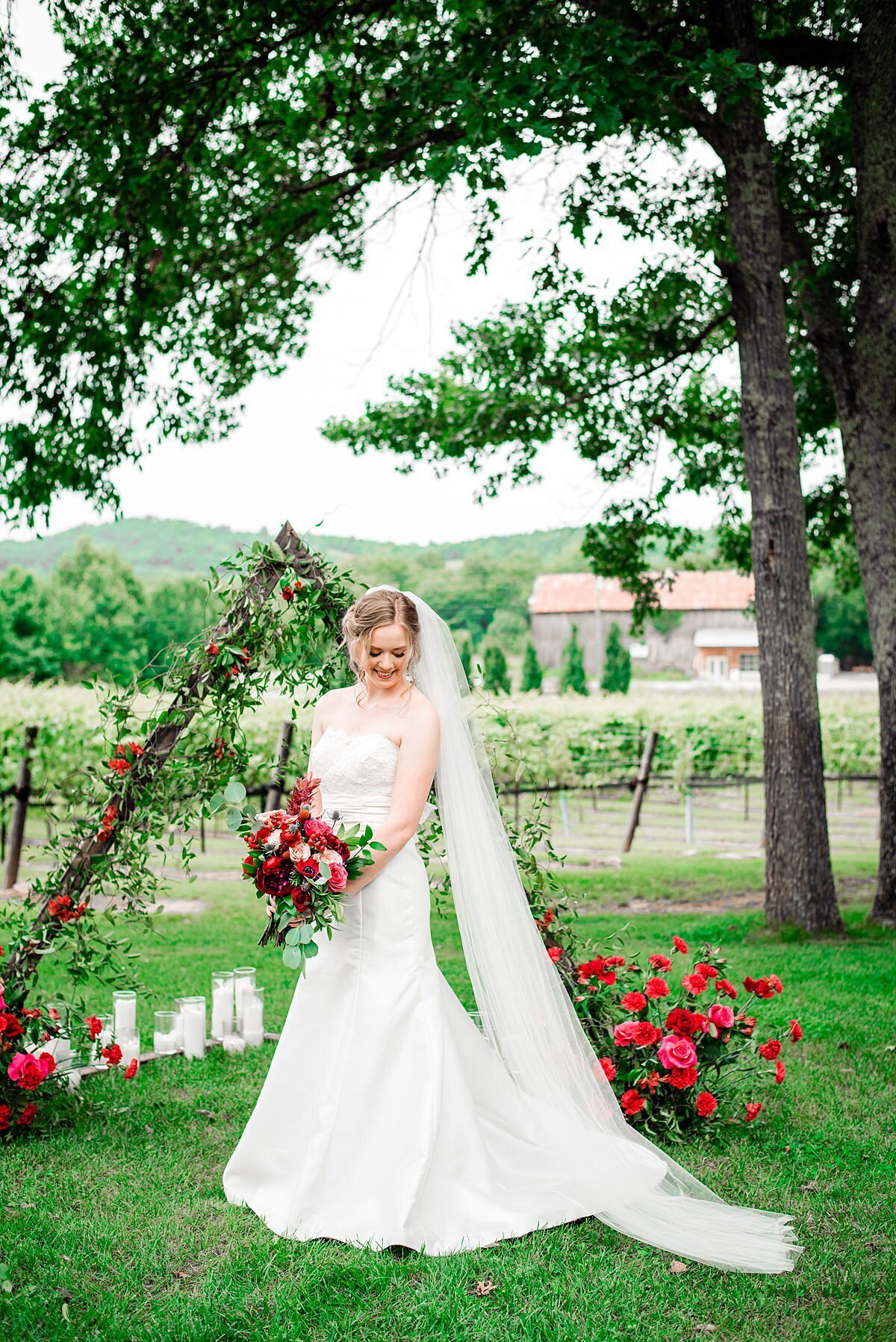 The bride, wearing a white silk wedding gown with a strapless lace bodice and sweetheart neckline and long veil holds a large red and blush bouquet of roses, red anthurium, red ranunculus, red anemones, blush and red protea, blue thistle, hypericum berries, red cascading dianthus and assorted greenery as she stands in front of a  rustic wooden triangular ceremony arbor covered in smilax vines, red roses, red carnations and decorated with white pillar candles in glass cylinders overlooking the vineyard vines at Arrington Vineyards.