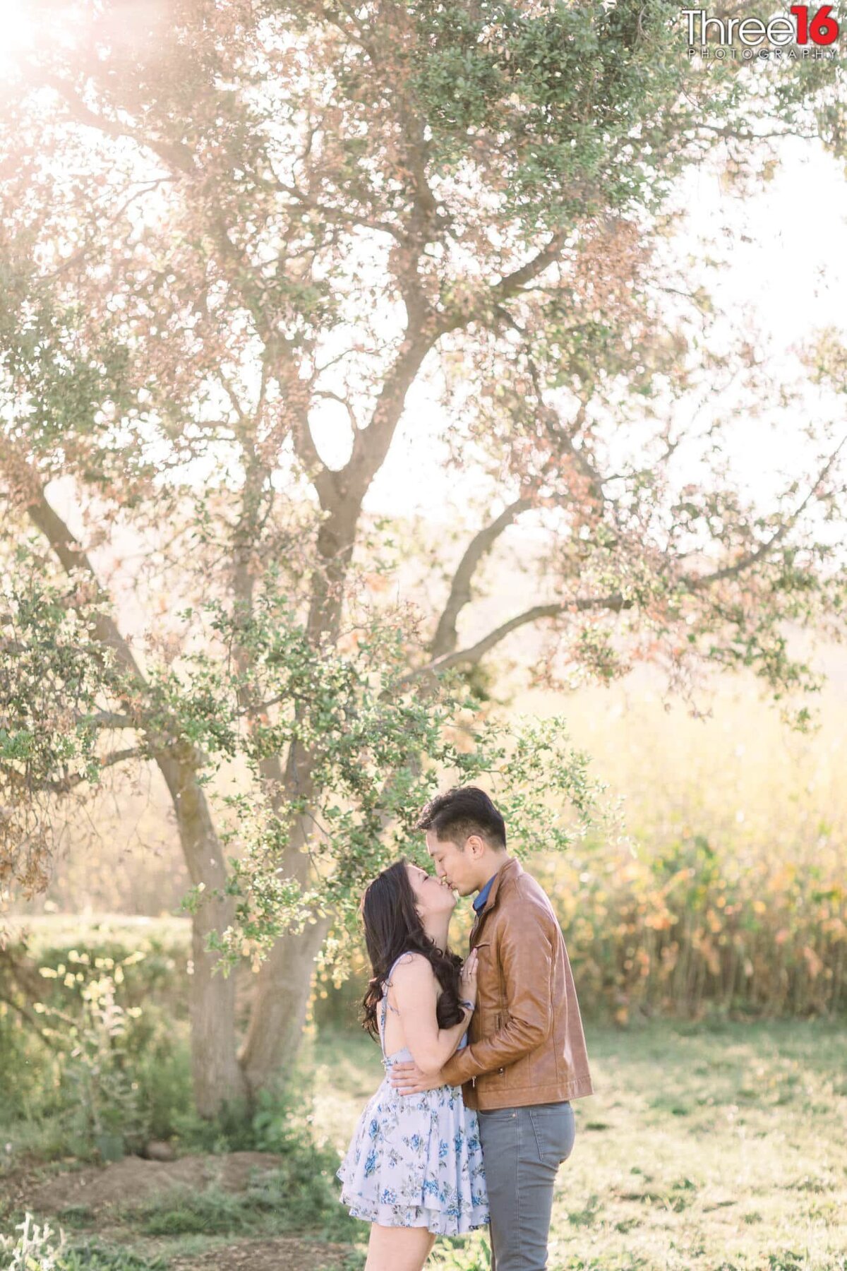 Engaged couple share a kiss under a tree