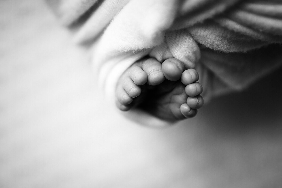 Black and white close up of newborn baby toes in Jacksonville, FL.