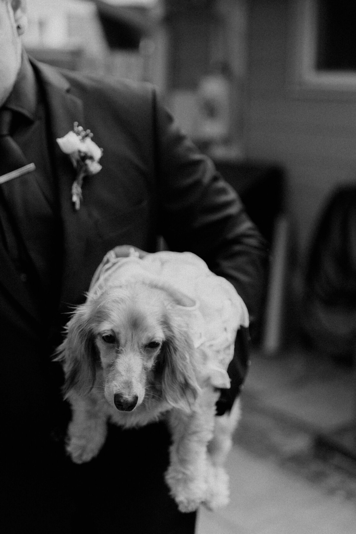 Chloe Parker Photography Heartfelt Wedding Photographer in Virginia — Wedding Photos 94