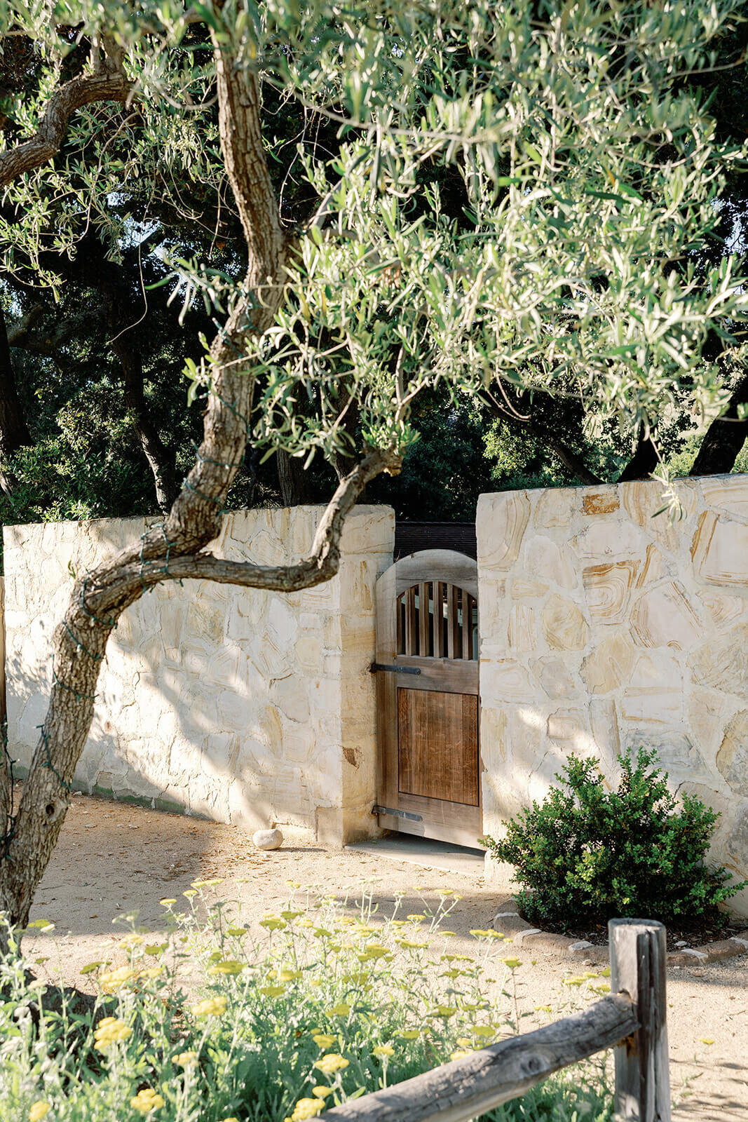 holman- ranch-carmel-valley-california-wedding-chelsea-brooke-events (105)