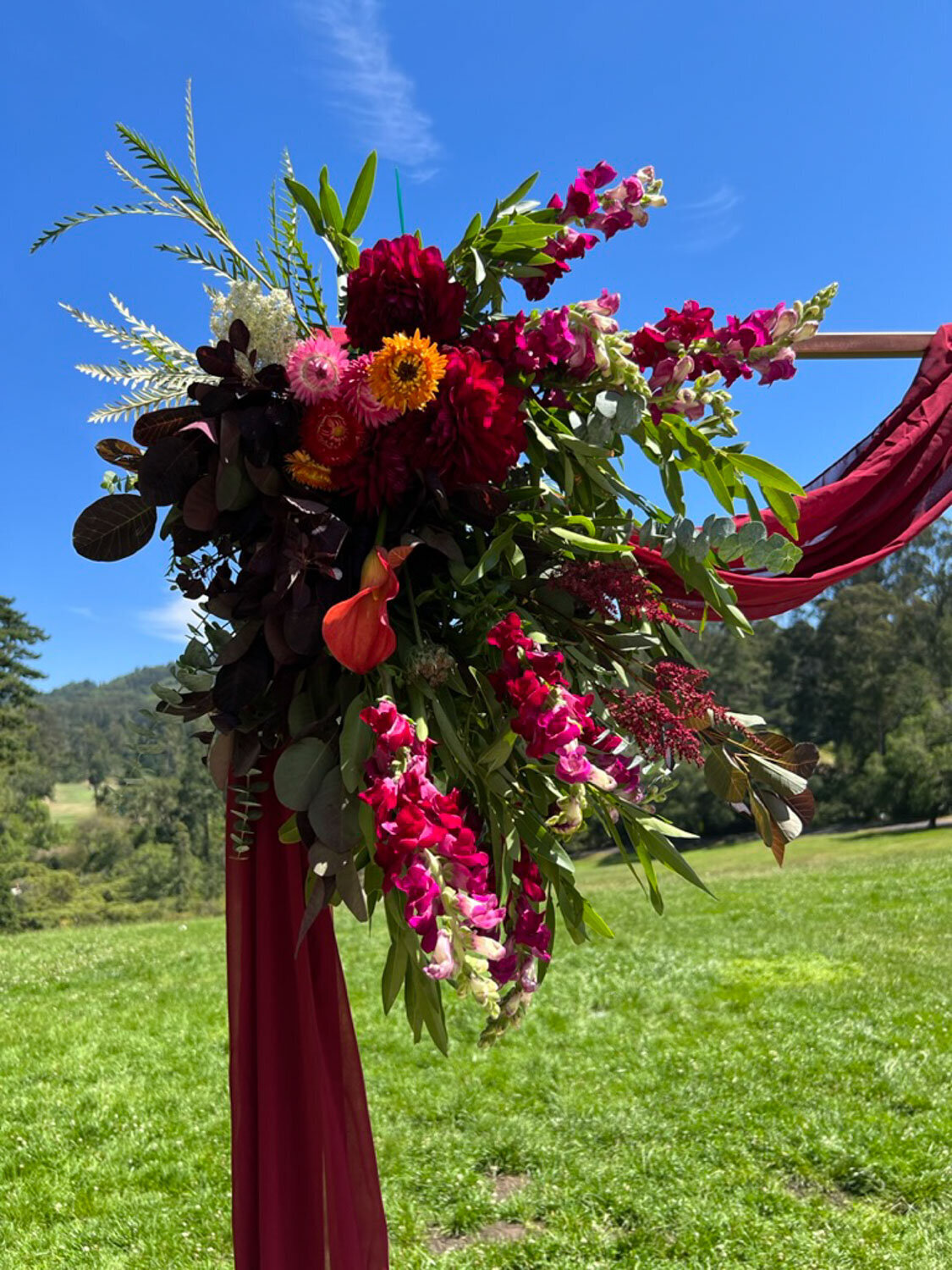 Vibrant floral arch with bold red and pink hues under a blue sky