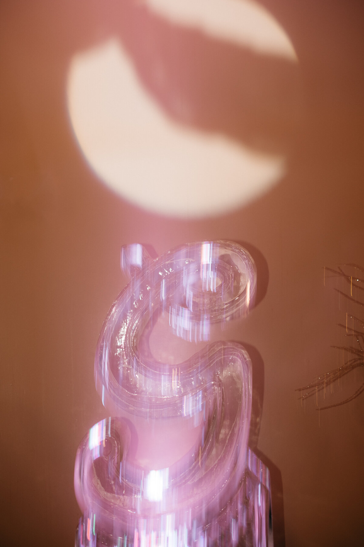 DSCF6046-2
